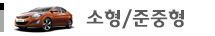 준중형차